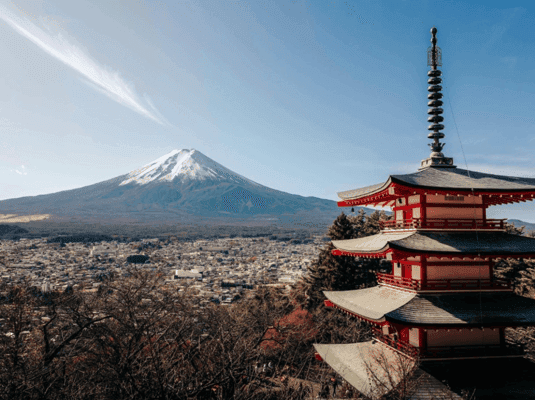 Tokyo: Mount Fuji & Hakone Private Tour with Guide