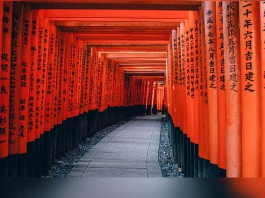 Kyoto/Osaka: Kyoto and Nara Customized Private Guided Tour