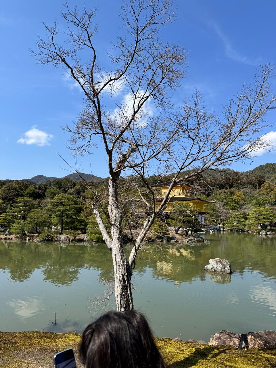 Golden Temple Kyoto: Is Kinkaku-ji Worth Visiting?