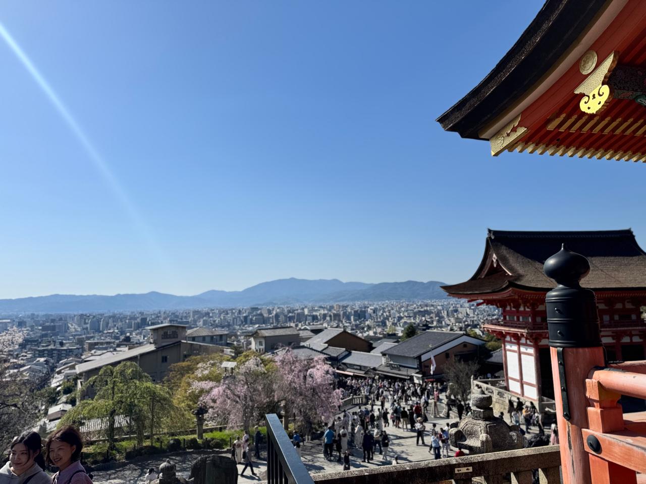 Nara Deer Park: Feeding Rules & Tips