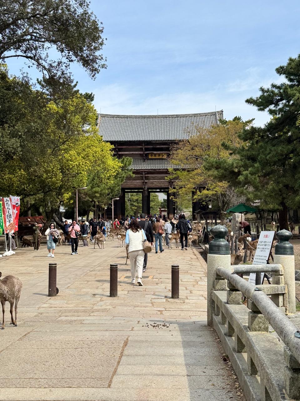 Nara Private Tour: Best Options & Prices