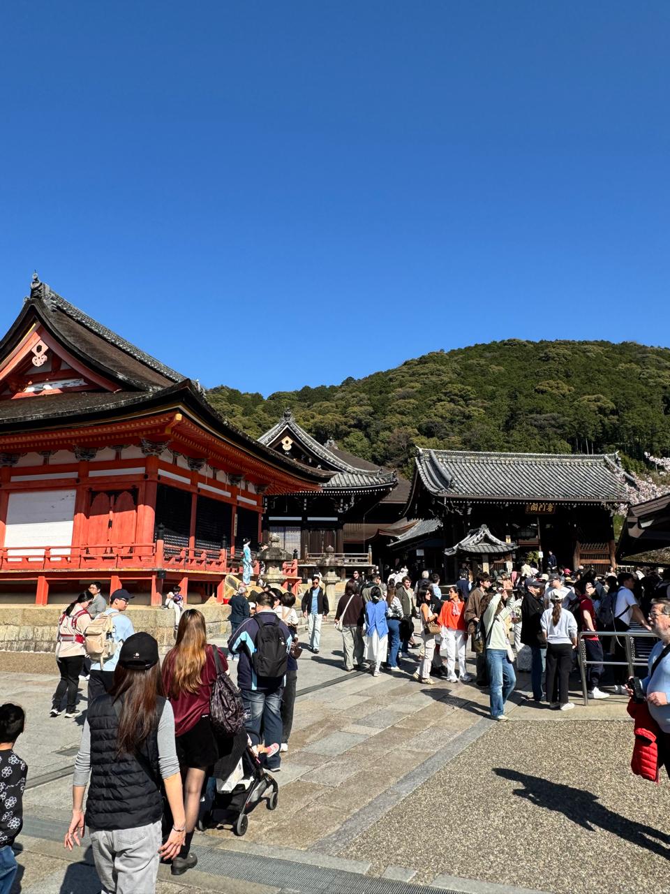 Things to Do in Nara: Top 10 Places