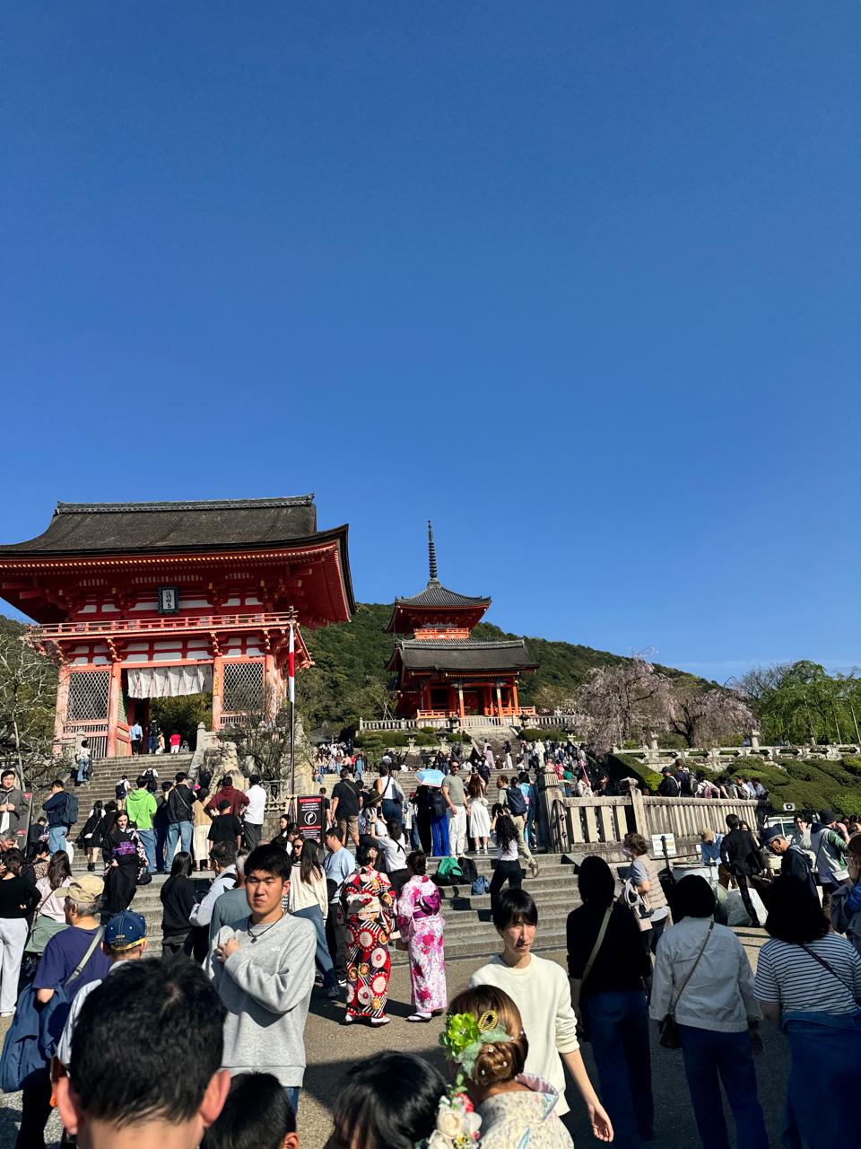 Todai-ji Temple Nara: Hours, Tickets & Tips